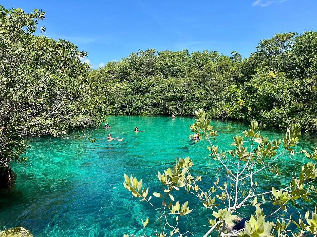 Apartment In Tankah Bay Tulum Where Jungle Meets Beach
